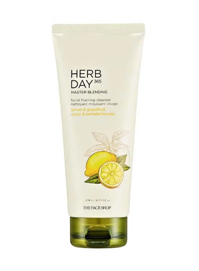 THE FACE SHOP Thefaceshop Herbday 365 Masterblending Foaming Cleanser Lemo